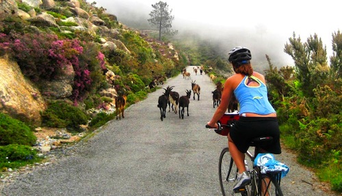 Biking Spain